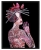 plakat Maggie Piu, Kashubska Geigi II, 40x50 cm, rama basic czarna 42x52 cm.jpg