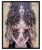 plakat Maggie Piu, Lady Mida, 40x50 cm, rama basic czarna 42x52 cm.jpg