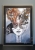 Królowa Margot 50x70, rama alu gold 60x80 cm, czarne p-p.jpg