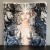 Carmen Freewolna Silver, 80x80 cm, giclee, na ścianie.jpg