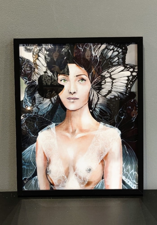 Freewolna Butterfly 40x50, rama basic 42x52 cm.jpg