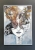 Królowa Margot 50x70, rama alu silver.jpg