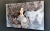 Madame Butterfly Grey, 160x100 cm, technika mieszana, right side.jpg