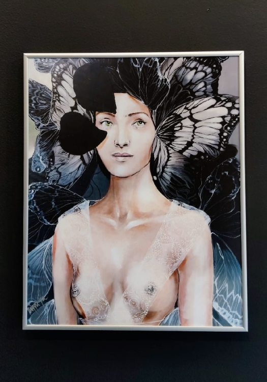 Freewolna Butterfly 40x50, rama alu silver 40x50 cm, black wall.jpg