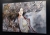 Madame Butterfly Grey, 120x80 cm, technika mieszana, Maggie Piu, black wall, right side, 2022.12.jpg