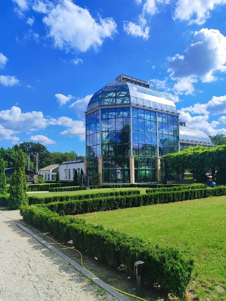 Natura nie znosi próżni - wystawa malarstwa Maggie Piu w Ogrodzie Botanicznym UJ w Krakowie 01-14.07.2026