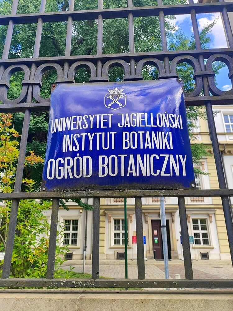 Natura nie znosi próżni - wystawa malarstwa Maggie Piu w Ogrodzie Botanicznym UJ w Krakowie 01-14.07.2026
